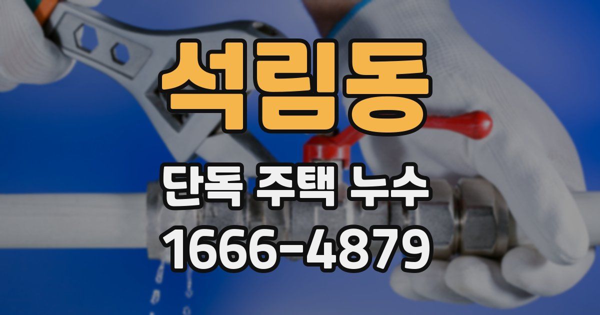 석림동 단독 주택 누수