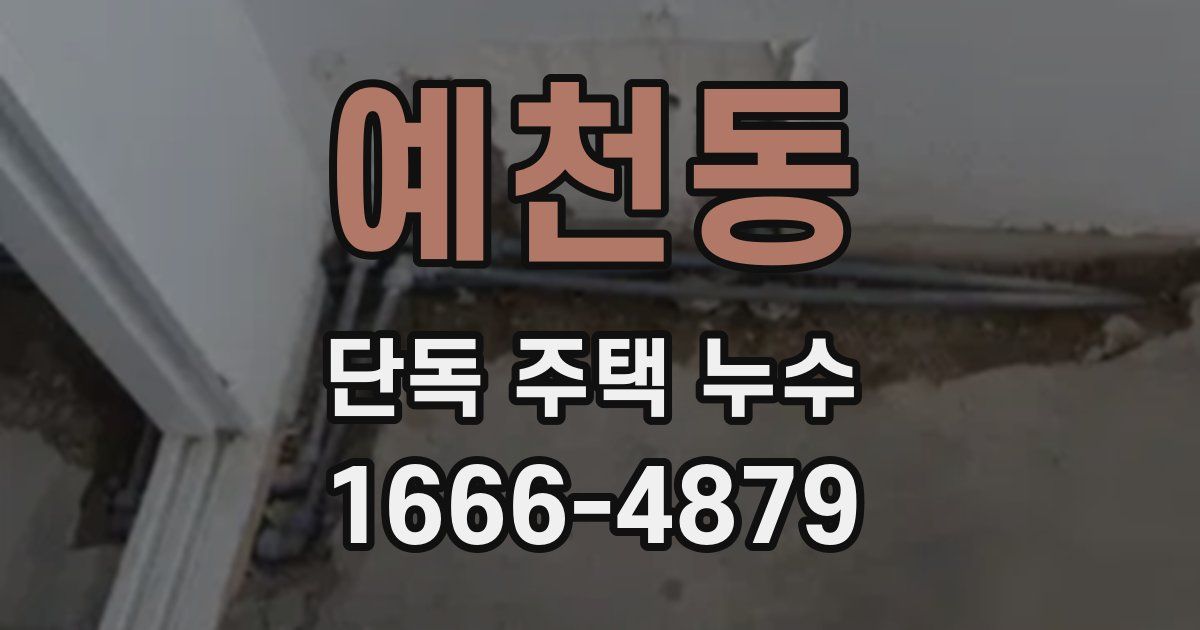 예천동 단독 주택 누수