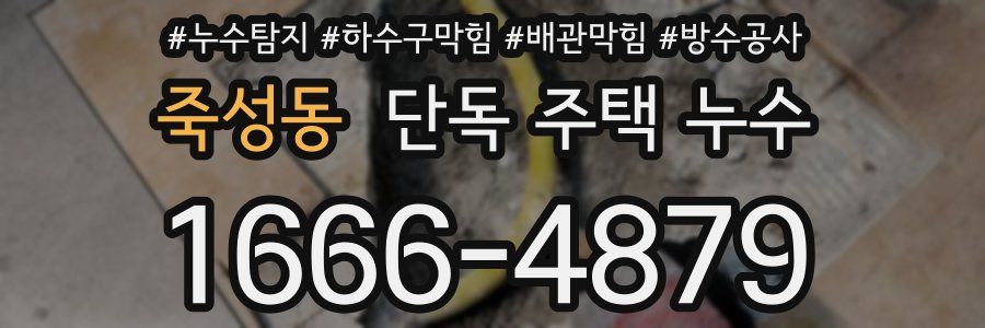 죽성동 단독 주택 누수