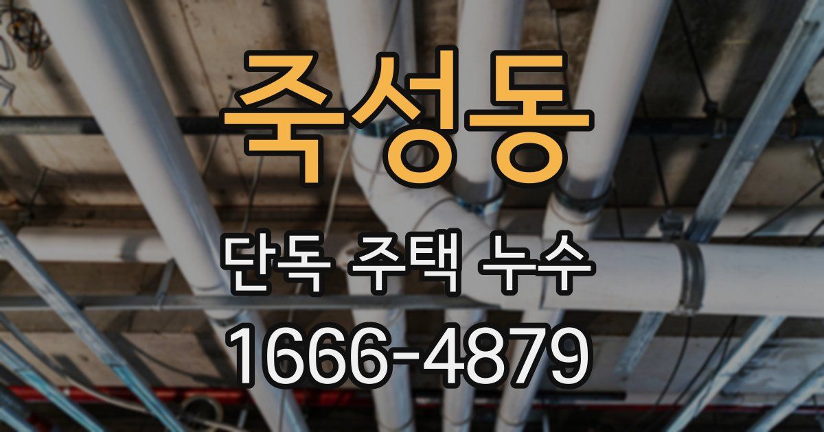죽성동 단독 주택 누수
