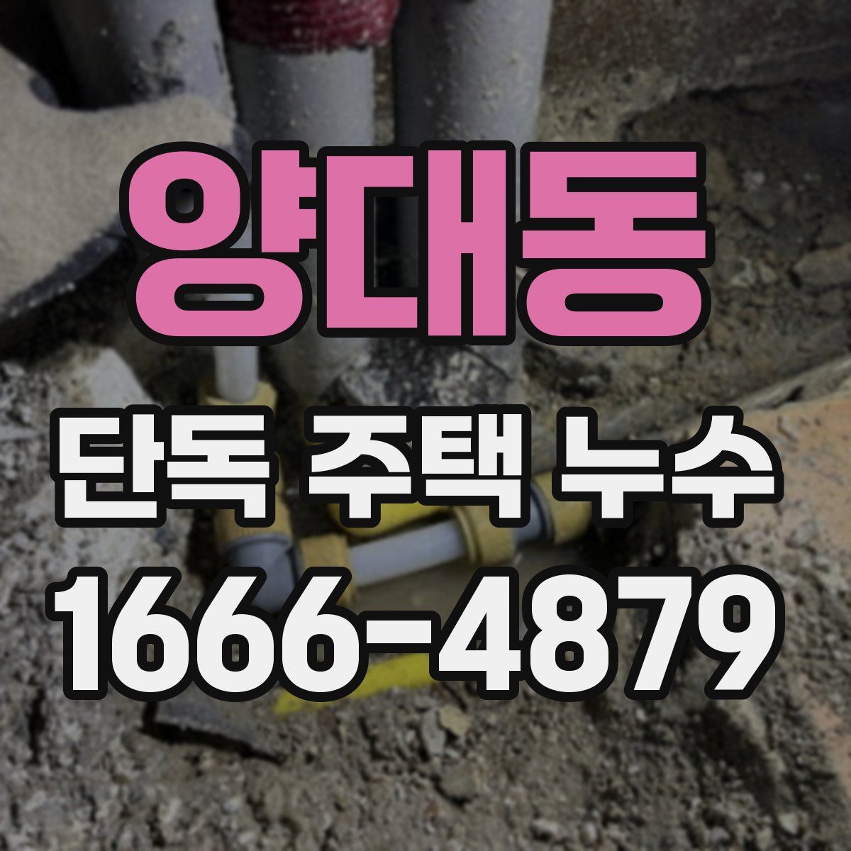 양대동 단독 주택 누수