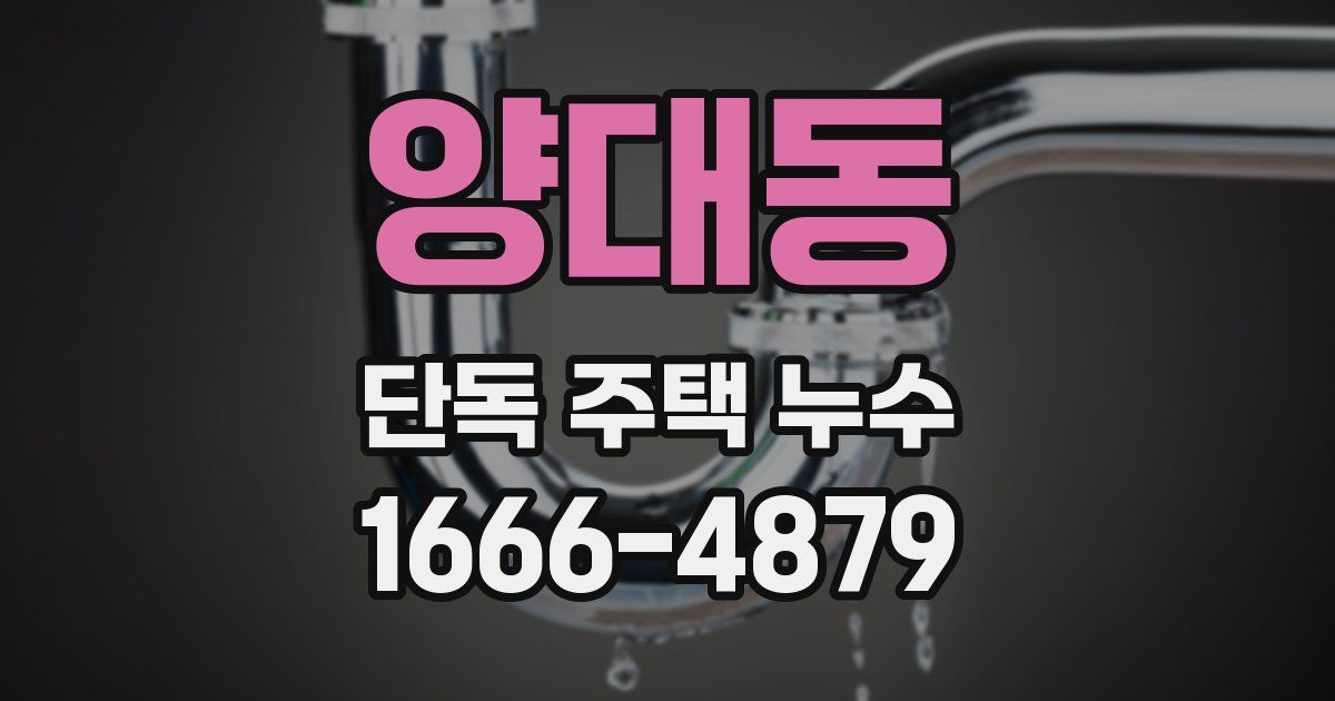 양대동 단독 주택 누수