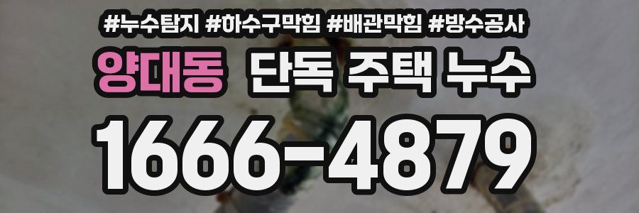 양대동 단독 주택 누수