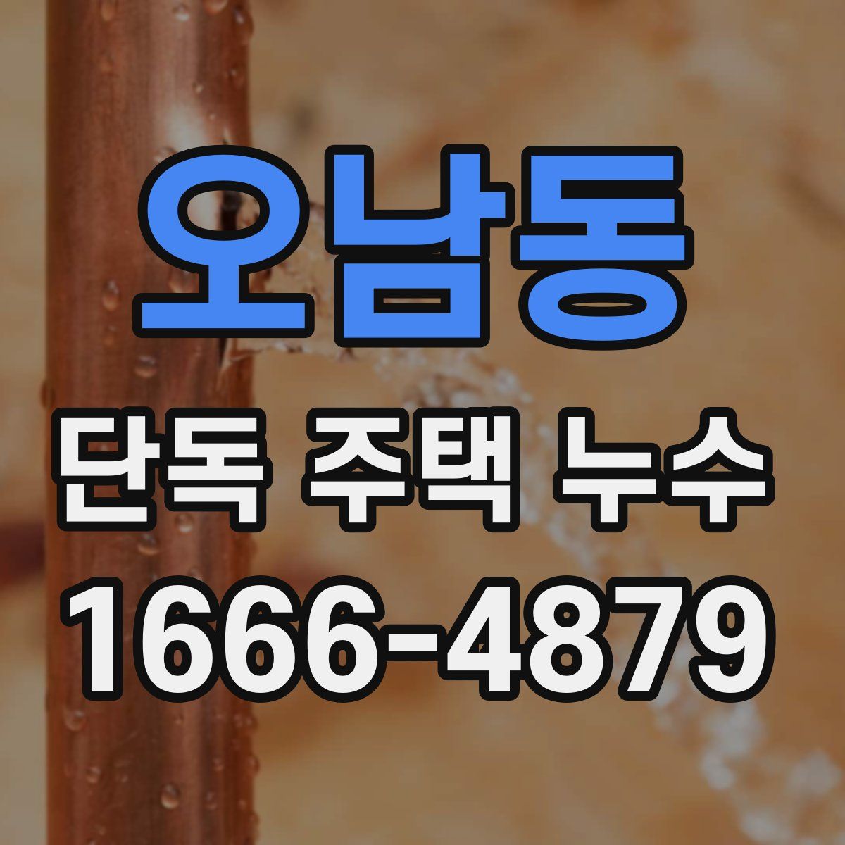 오남동 단독 주택 누수