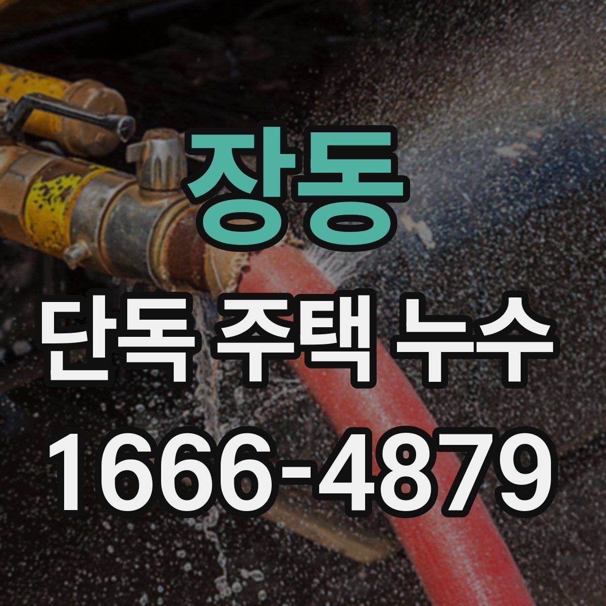 장동 단독 주택 누수