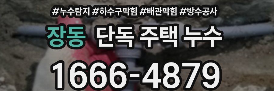 장동 단독 주택 누수