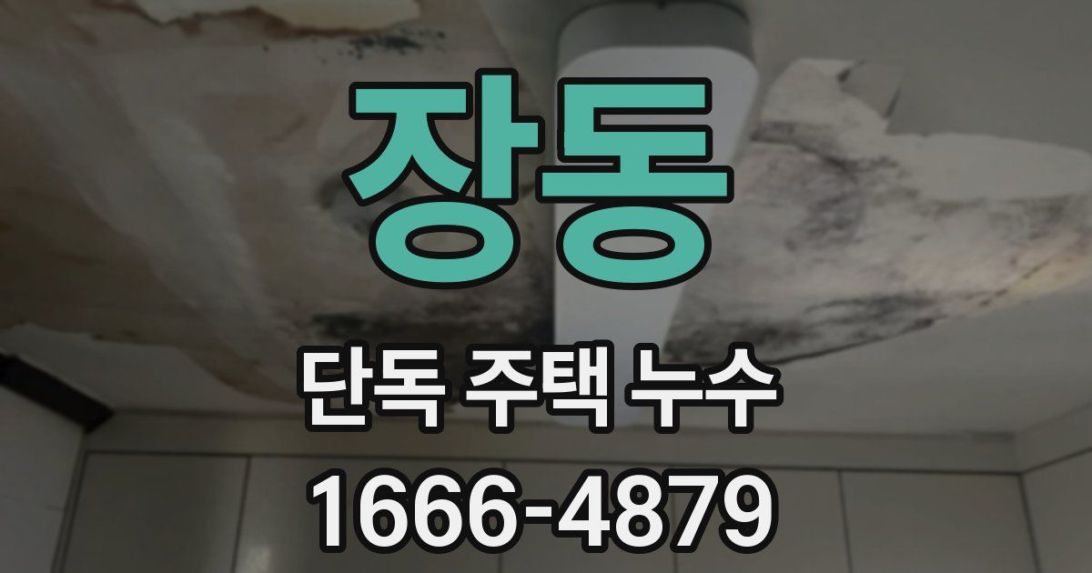 장동 단독 주택 누수