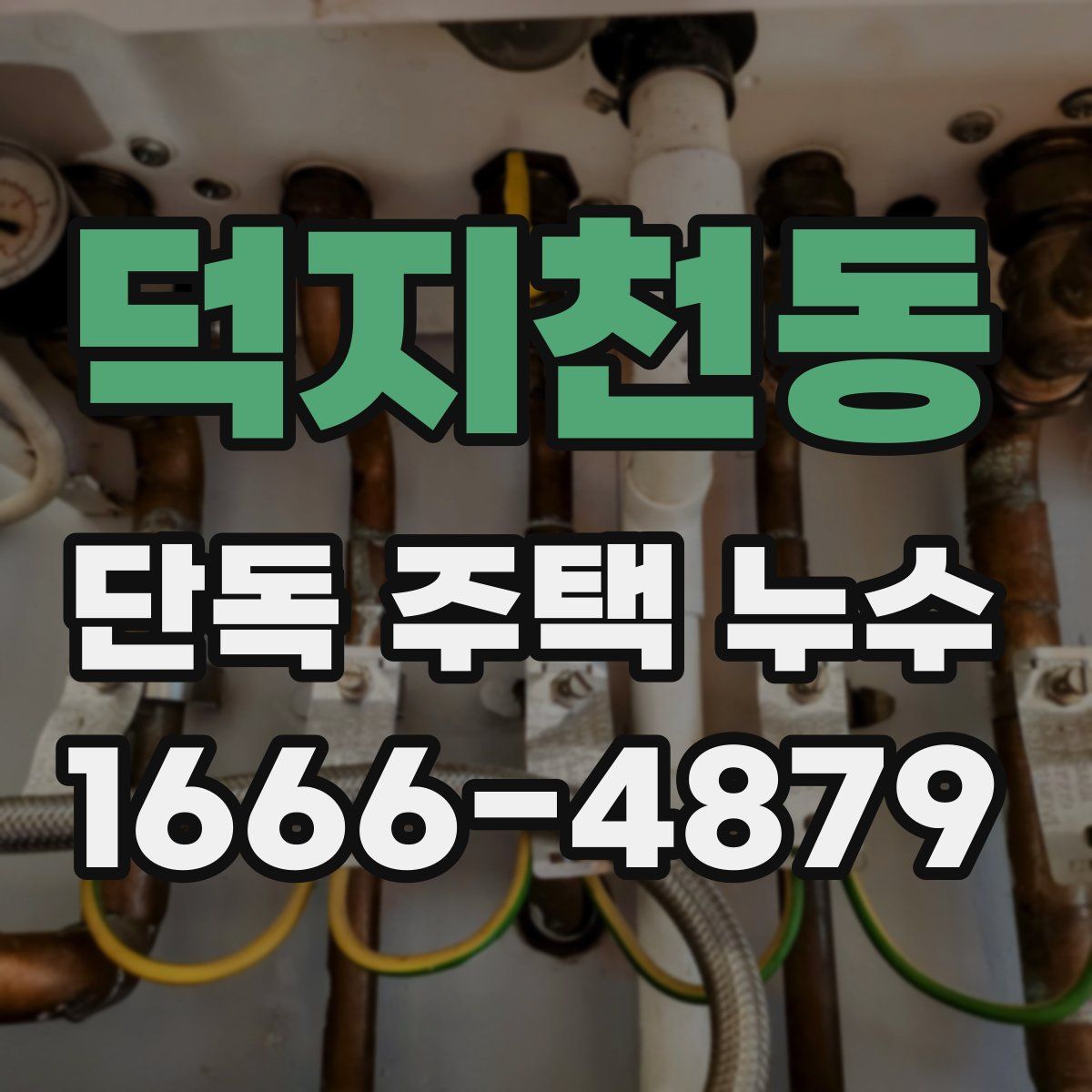 덕지천동 단독 주택 누수