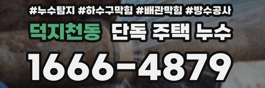 덕지천동 단독 주택 누수