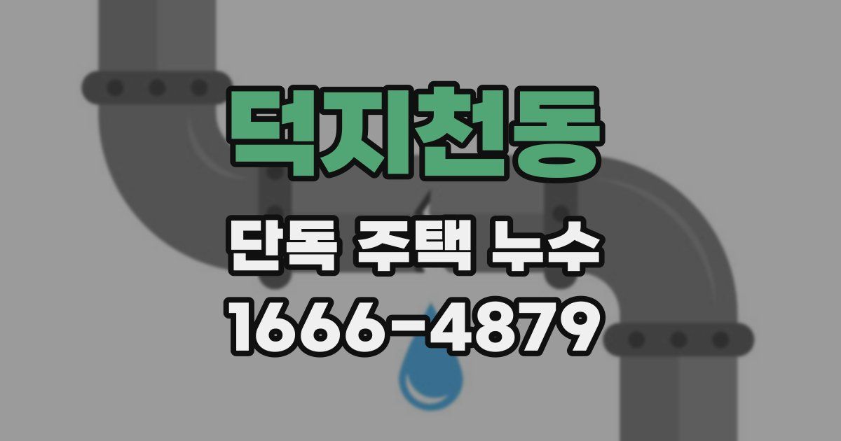 덕지천동 단독 주택 누수