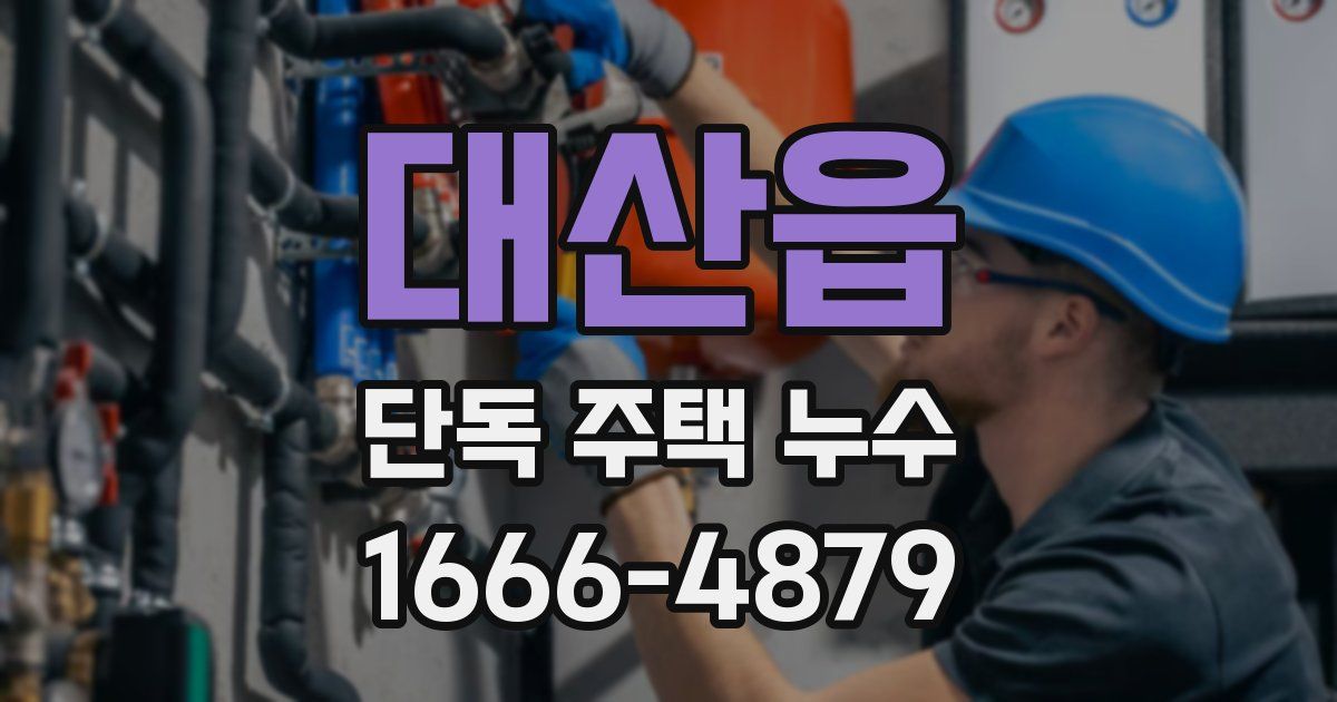 대산읍 단독 주택 누수