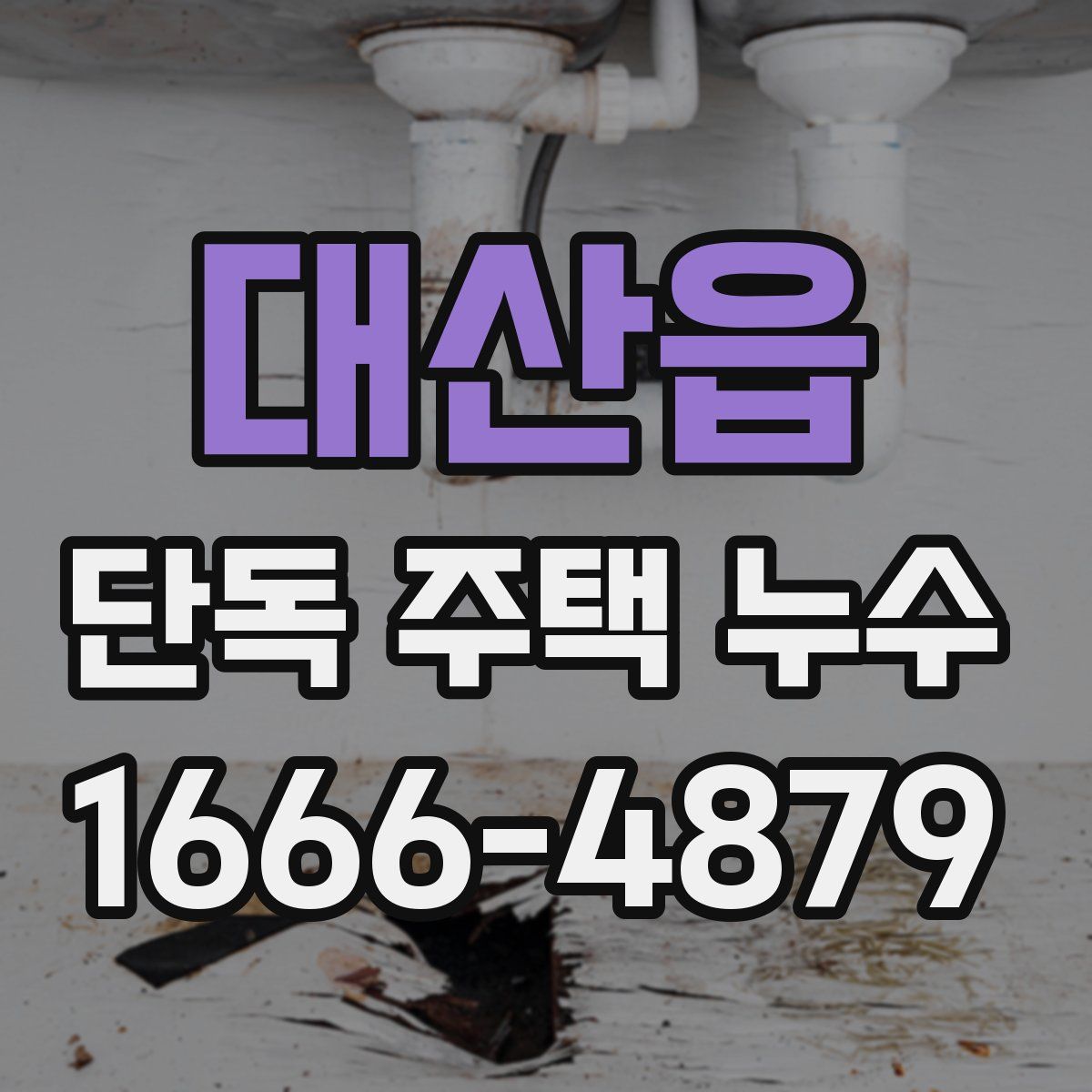 대산읍 단독 주택 누수