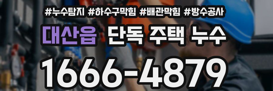 대산읍 단독 주택 누수