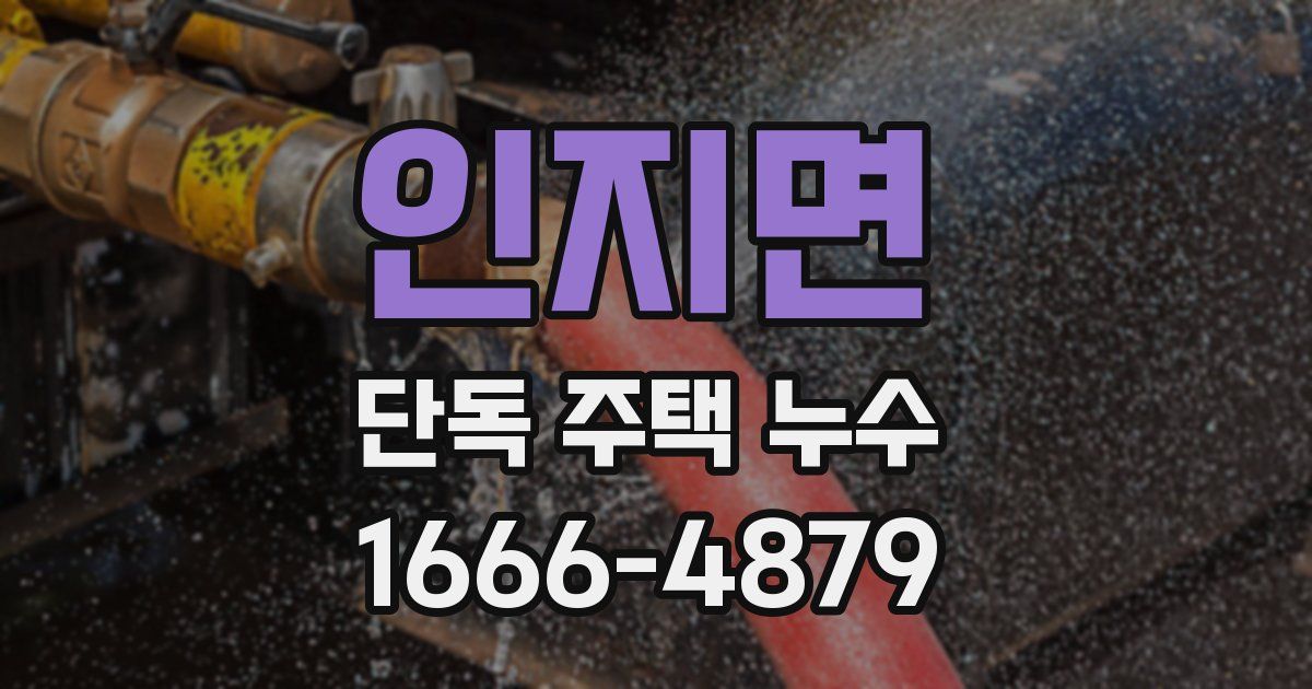 인지면 단독 주택 누수