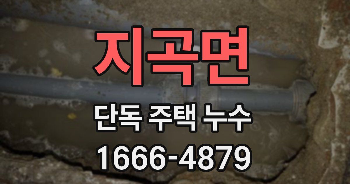 지곡면 단독 주택 누수