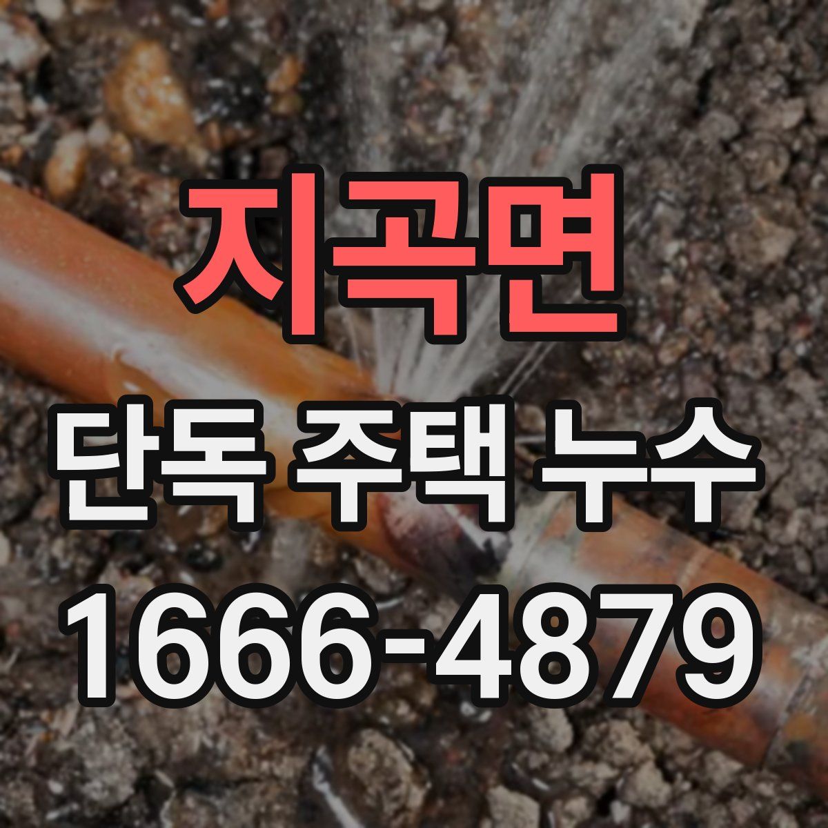 지곡면 단독 주택 누수