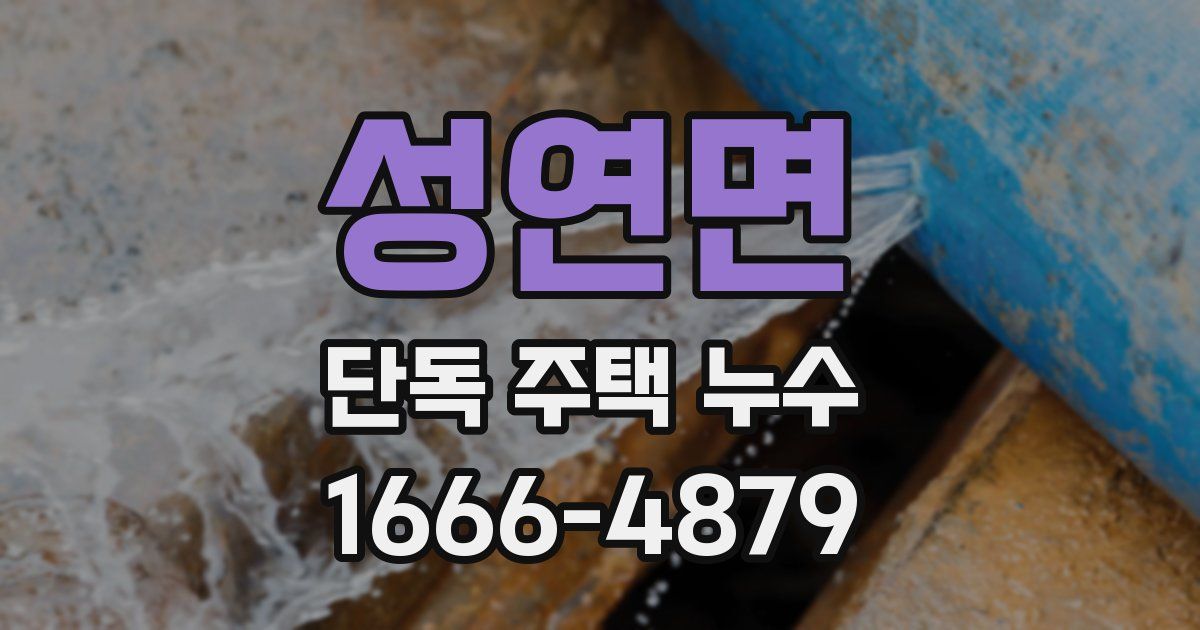 성연면 단독 주택 누수