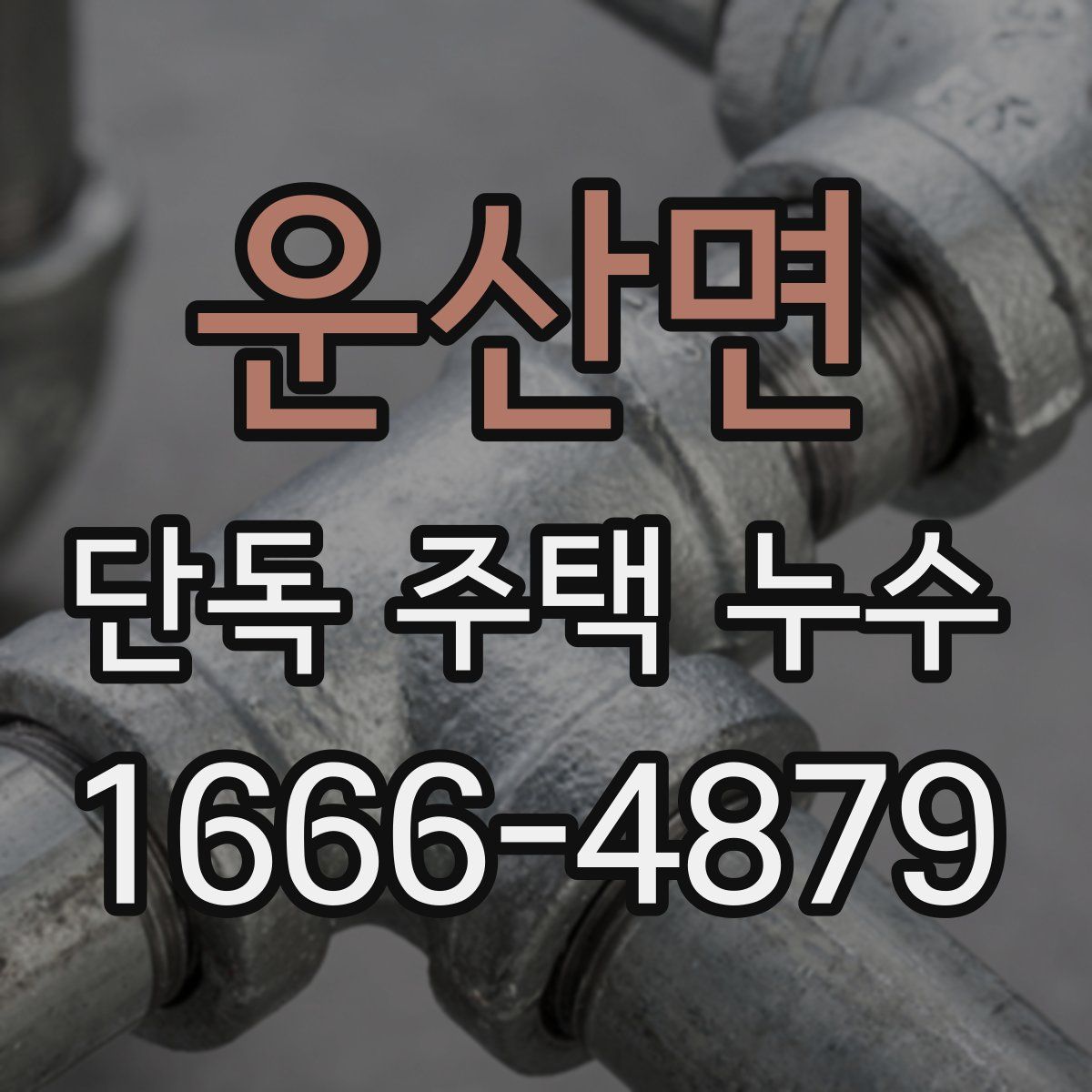 운산면 단독 주택 누수