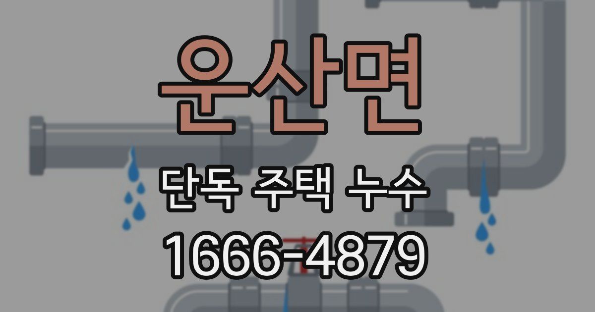 운산면 단독 주택 누수