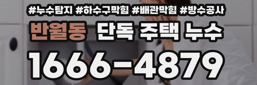 반월동 단독 주택 누수