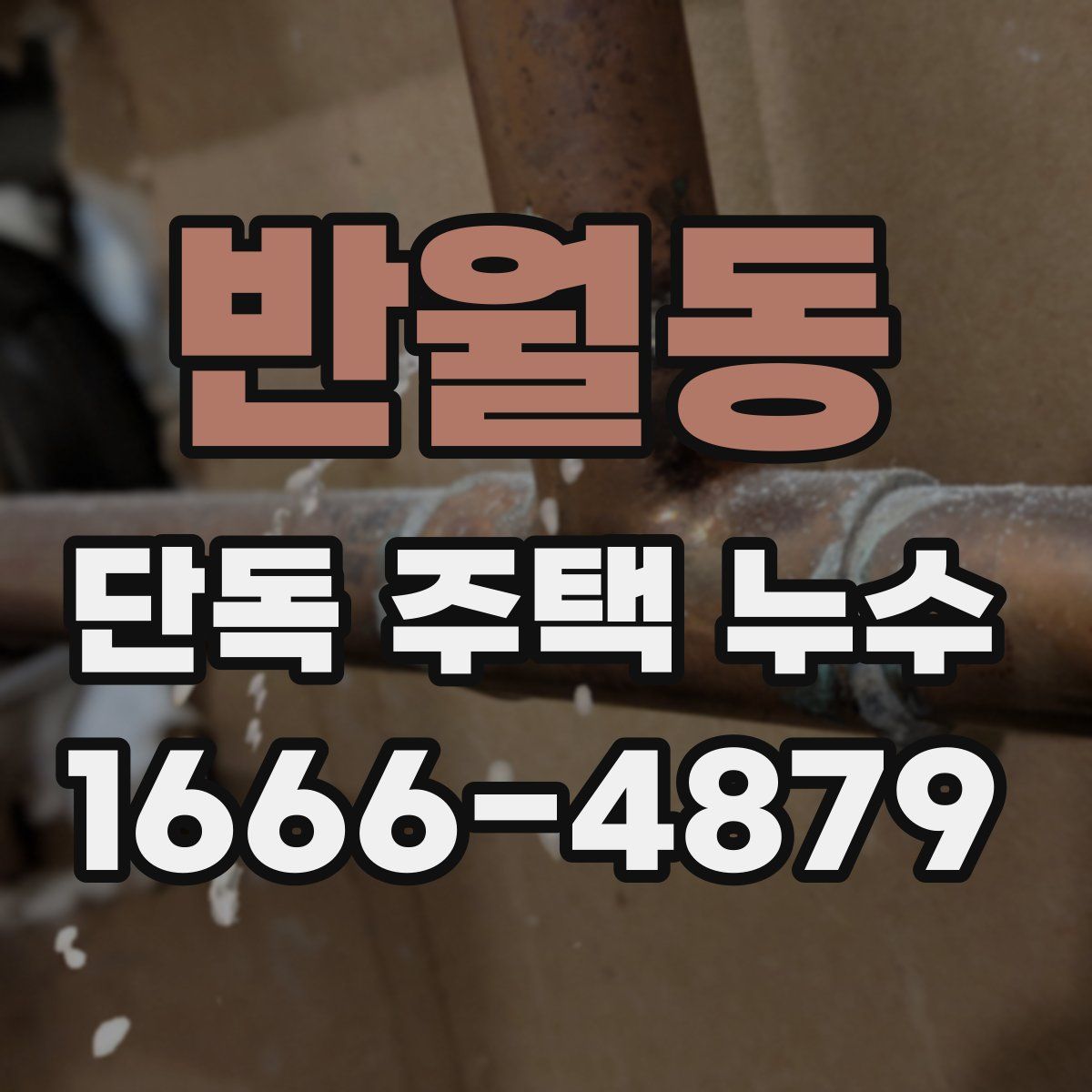 반월동 단독 주택 누수
