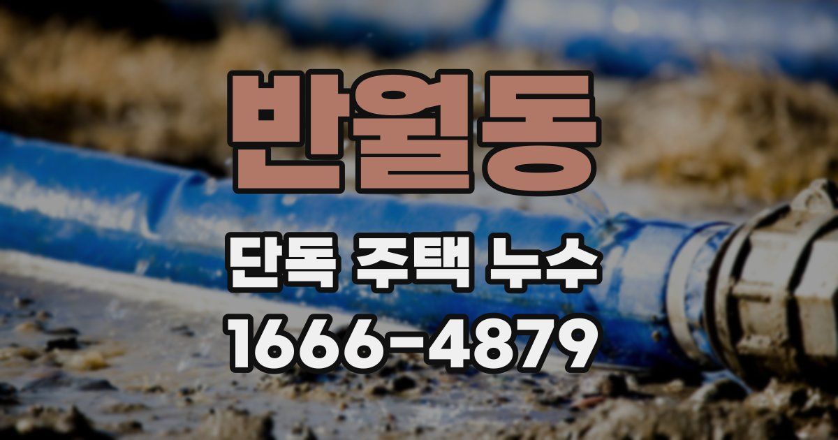 반월동 단독 주택 누수