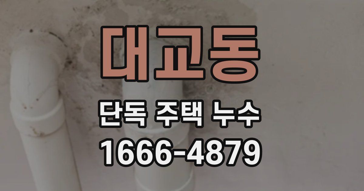대교동 단독 주택 누수