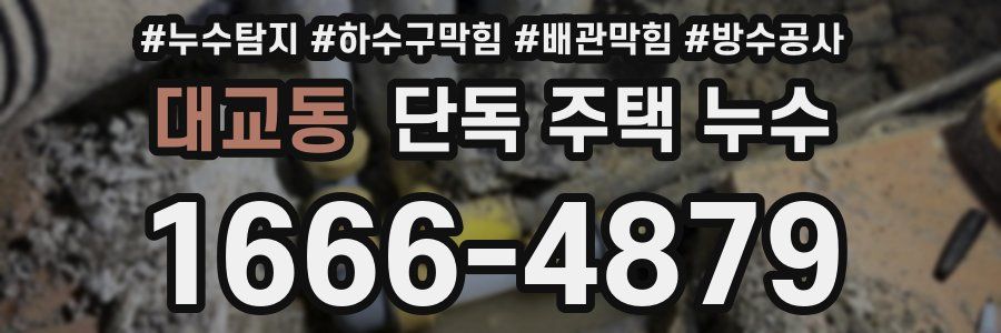 대교동 단독 주택 누수