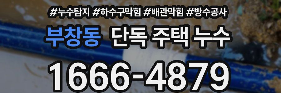 부창동 단독 주택 누수