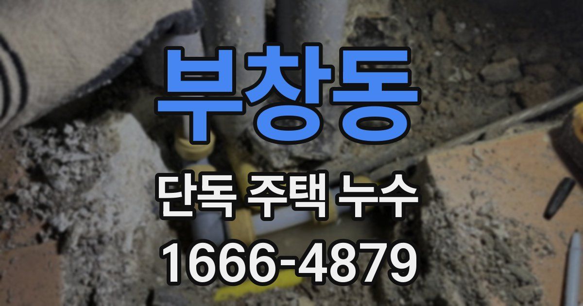 부창동 단독 주택 누수