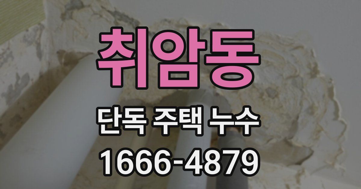 취암동 단독 주택 누수