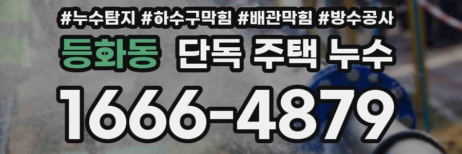 등화동 단독 주택 누수