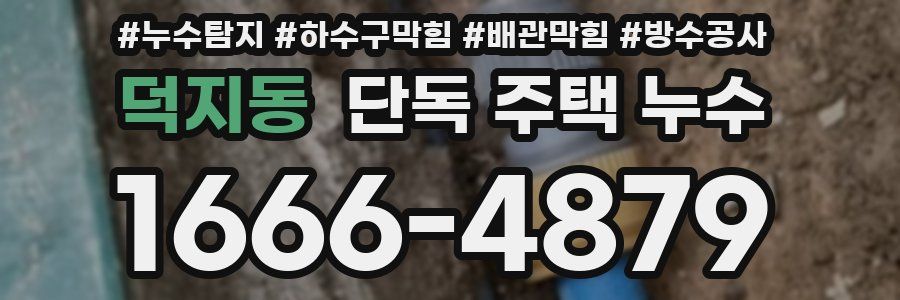 덕지동 단독 주택 누수
