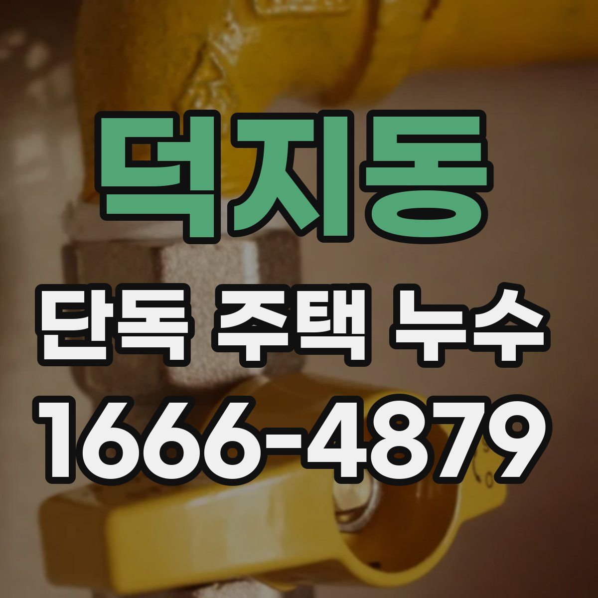 덕지동 단독 주택 누수