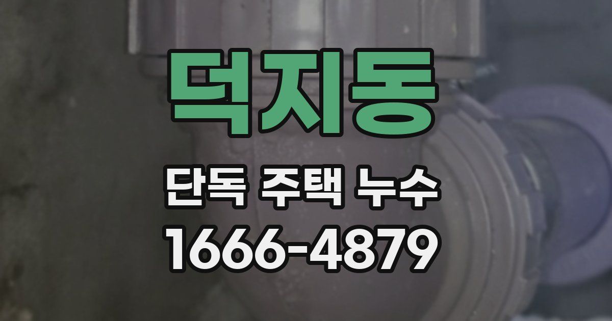 덕지동 단독 주택 누수