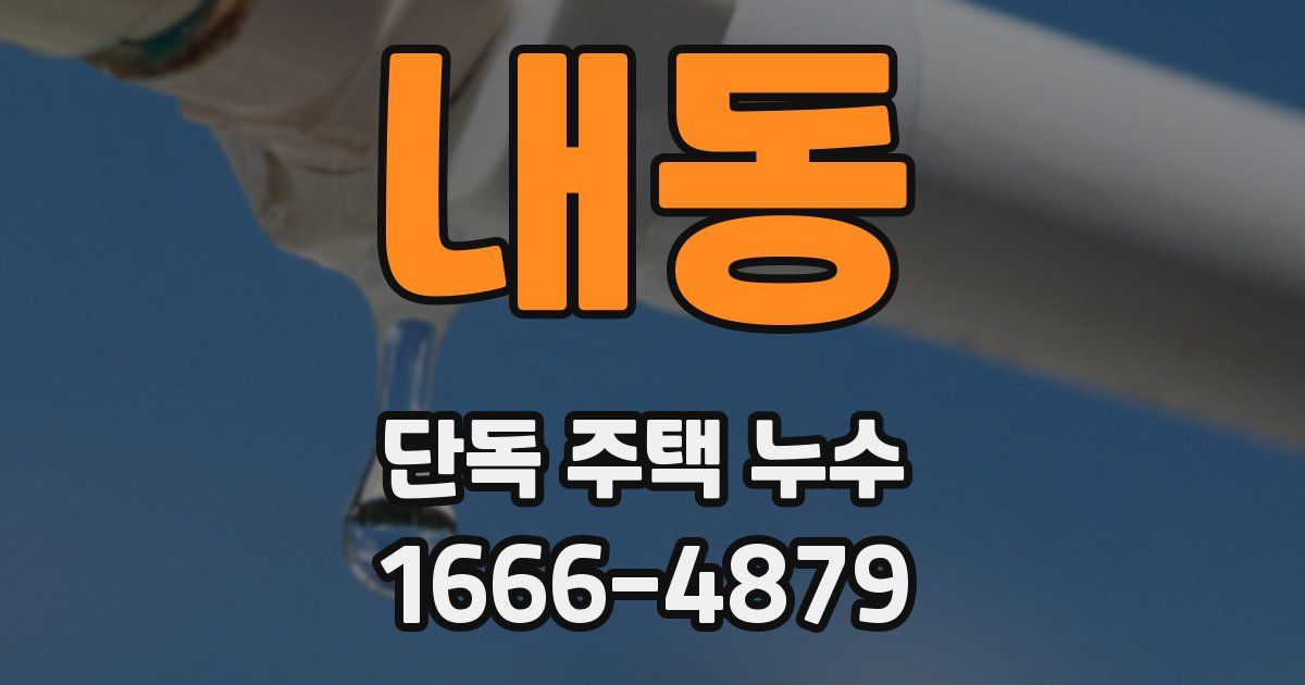 내동 단독 주택 누수