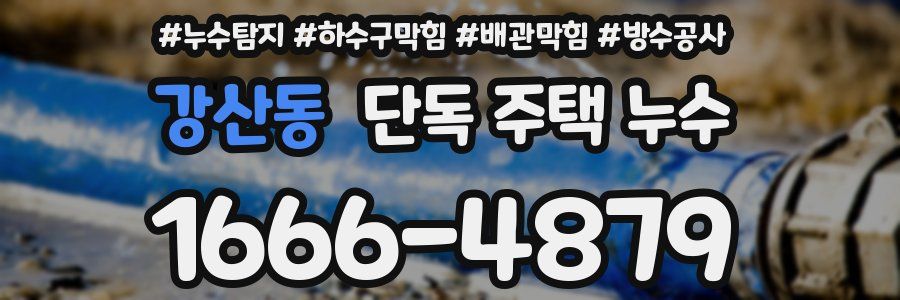 강산동 단독 주택 누수