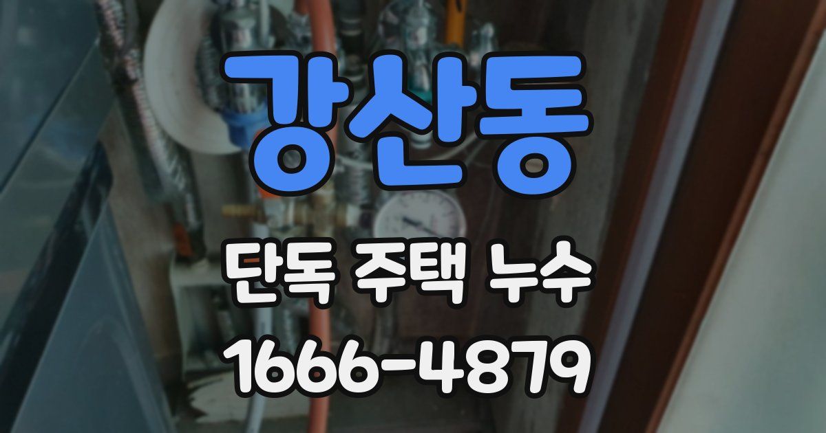 강산동 단독 주택 누수