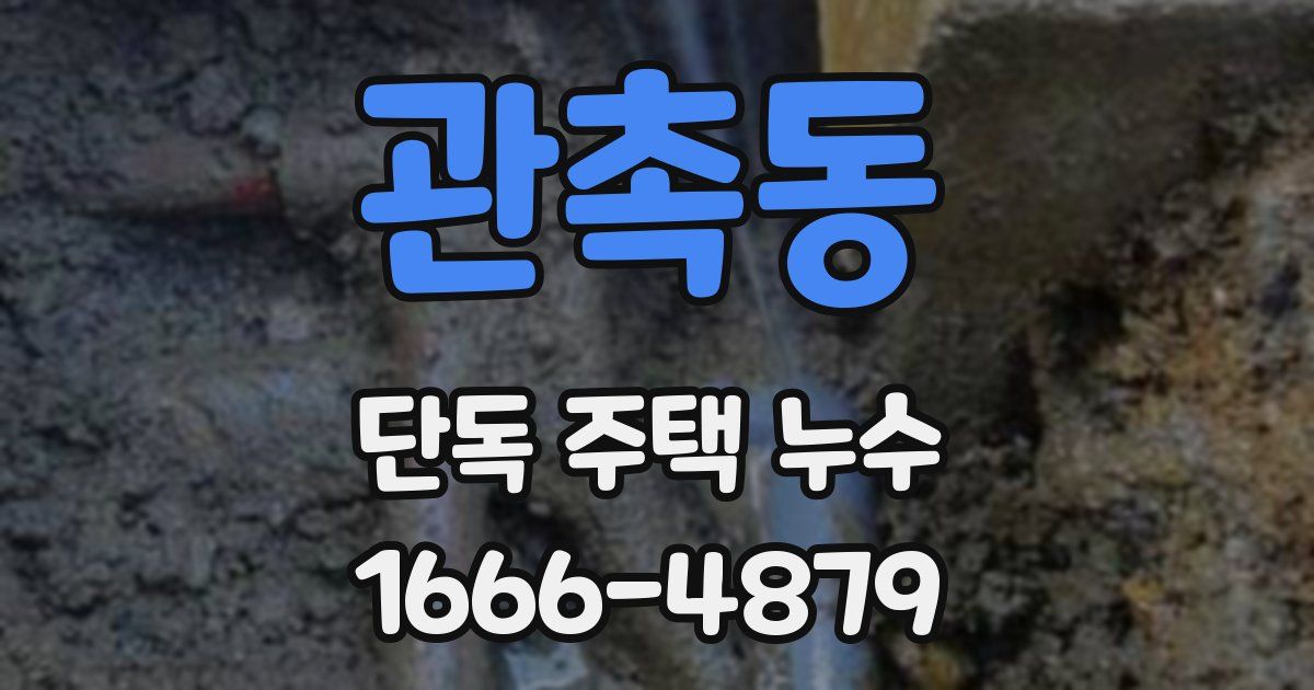 관촉동 단독 주택 누수