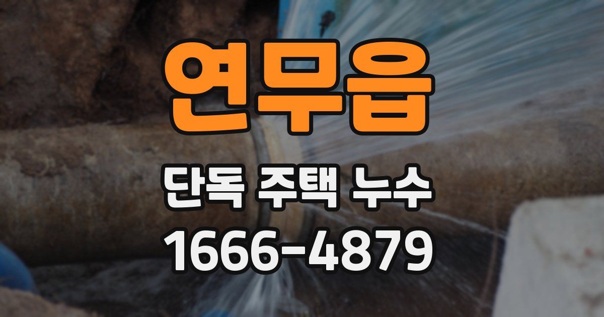 연무읍 단독 주택 누수