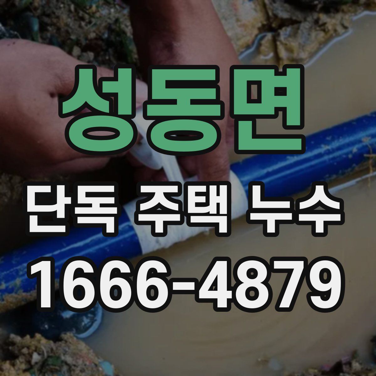 성동면 단독 주택 누수