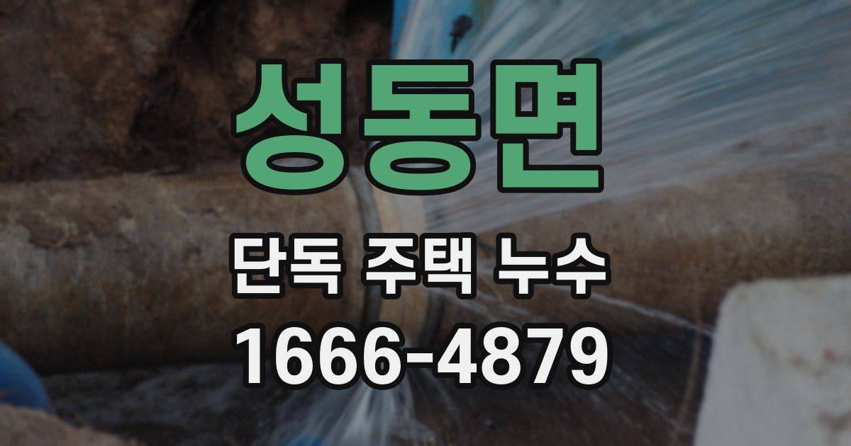성동면 단독 주택 누수