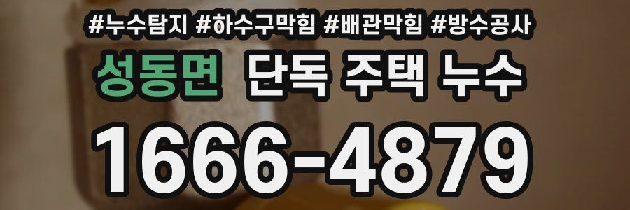 성동면 단독 주택 누수