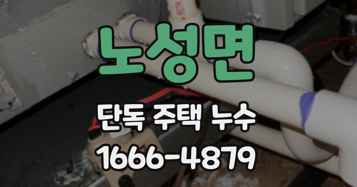 노성면 단독 주택 누수