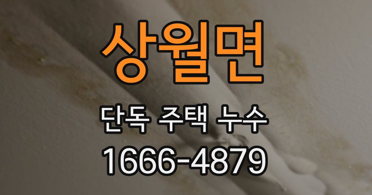 상월면 단독 주택 누수