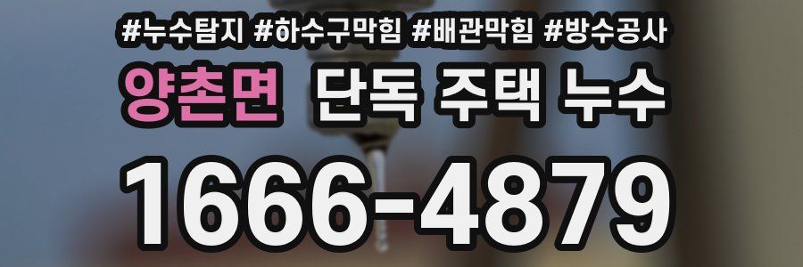 양촌면 단독 주택 누수