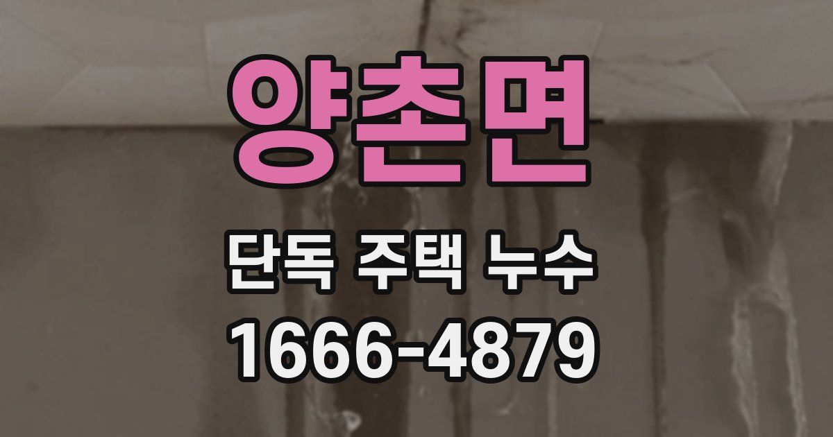 양촌면 단독 주택 누수