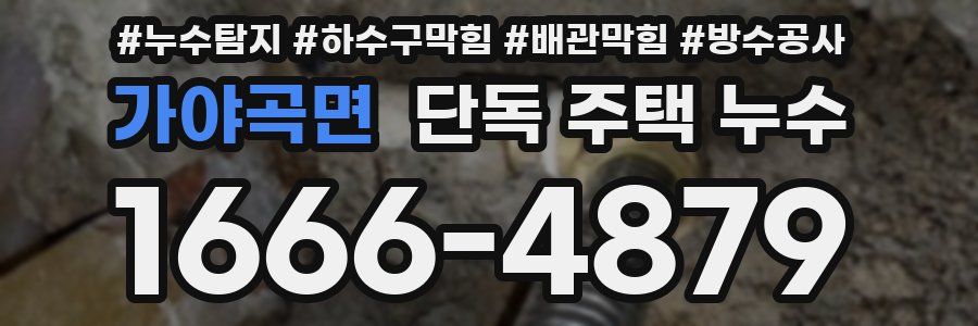 가야곡면 단독 주택 누수