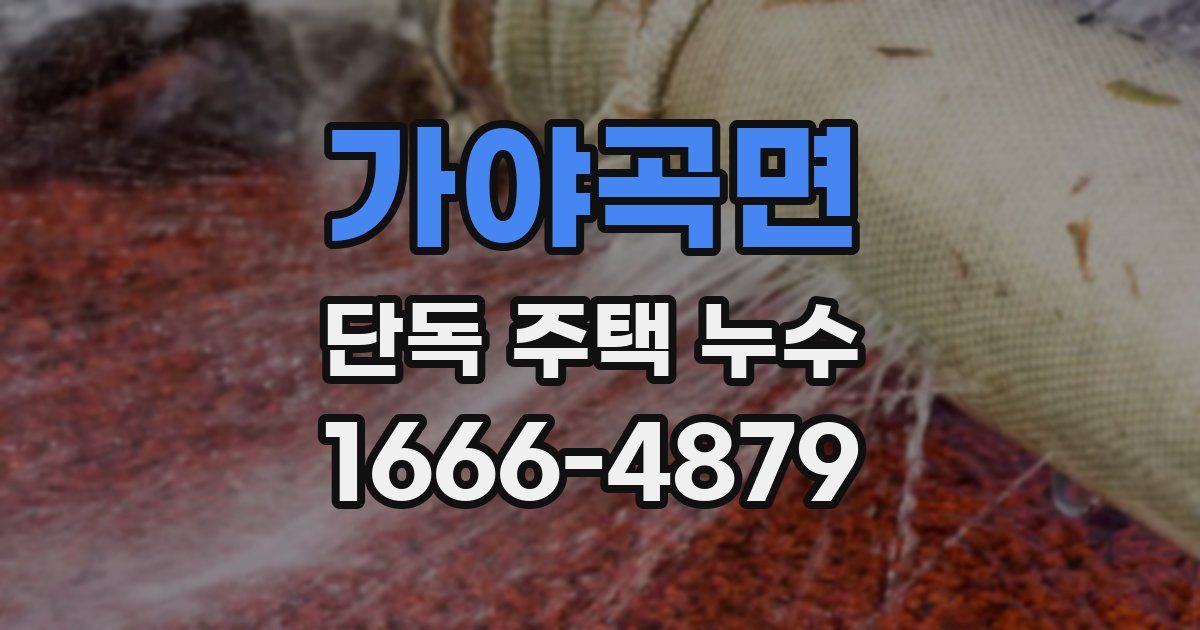 가야곡면 단독 주택 누수