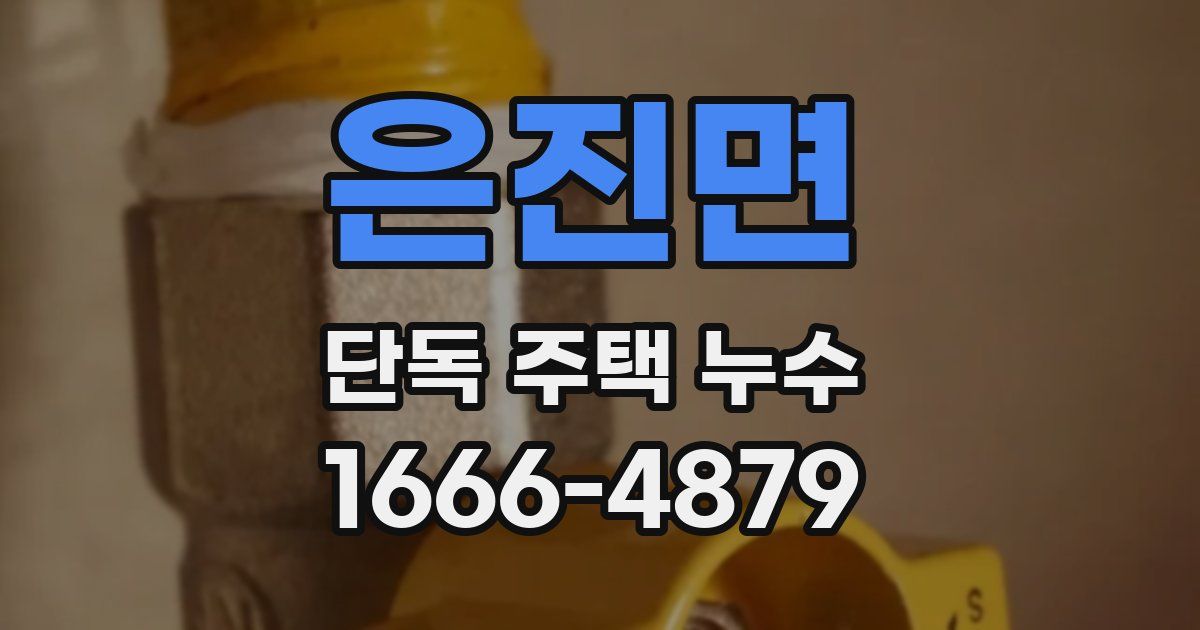 은진면 단독 주택 누수